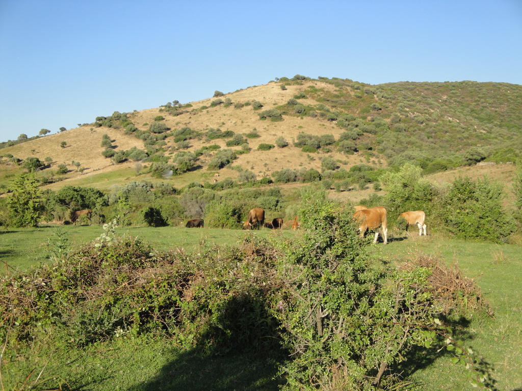 Casa de hóspedes La Jatta 3*
